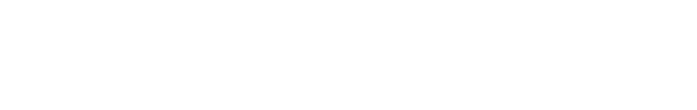 Netshoes